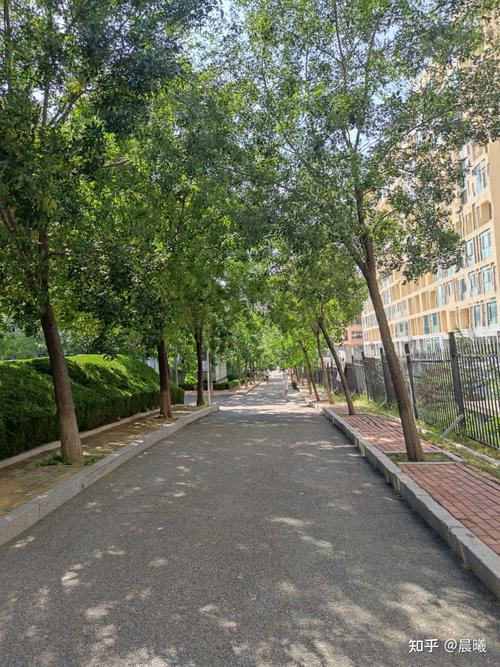 青岛科技大学现在怎么样?