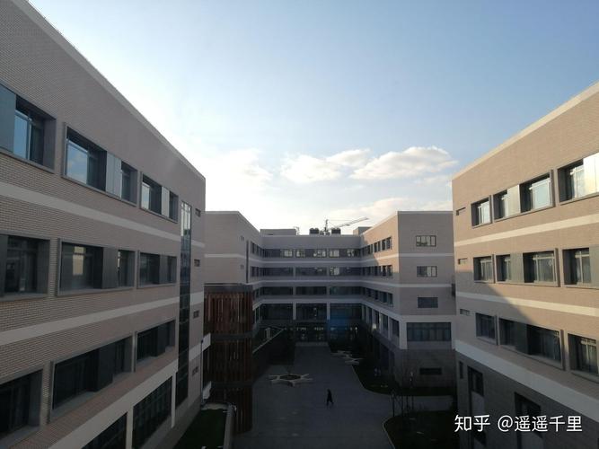 青岛科技大学中德校区专科怎么样?