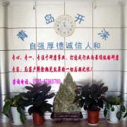 青岛开涞研磨科技-中国贸易网-会员网站